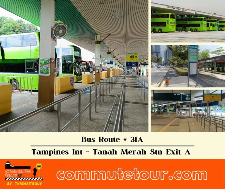 SG Bus Route 31A Schedule, Bus Stops and Route Map from Tampines Interchange to Tanah Merah Station Exit A → One Way | Singapore