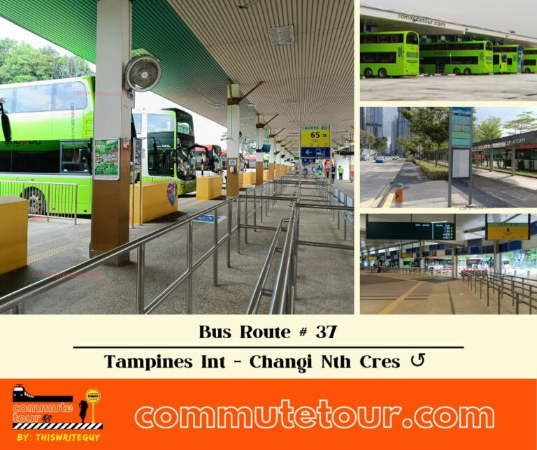 SG Bus Route 37 Schedule, Bus Stops and Route Map from Tampines Interchange to Changi North Cres ↺ | Singapore
